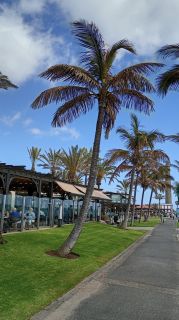 GC-CC Boulevard El Faro 2026-095.jpg